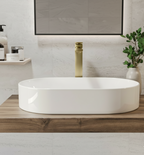  A smooth, glossy white, oval-shaped basin. 